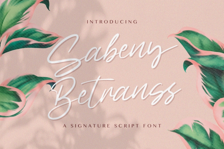 Sabeny Betranss - Handwritten Font Font Download