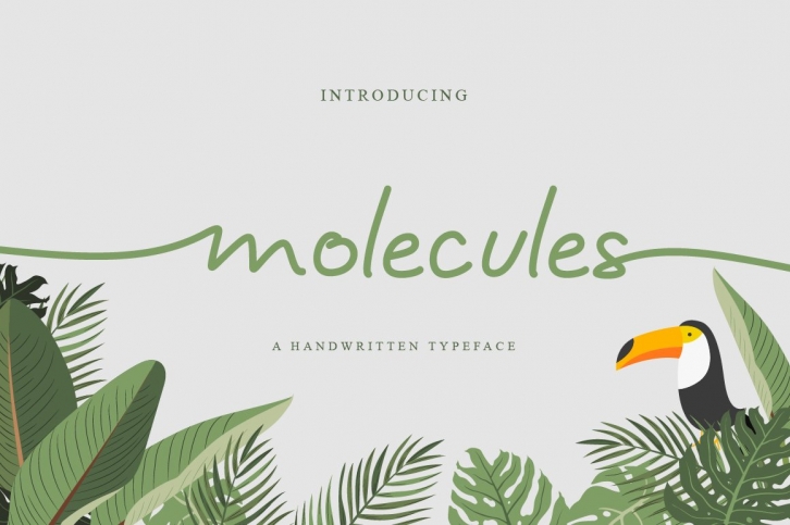Molecules Script Font Download
