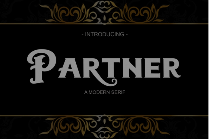 Partner | Serif Font Download