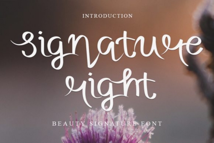 Signature Right Font Download
