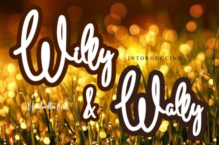 Willy  Wally Font Download