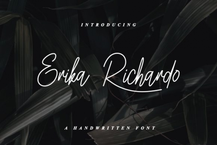 Erika Richardo Font Download