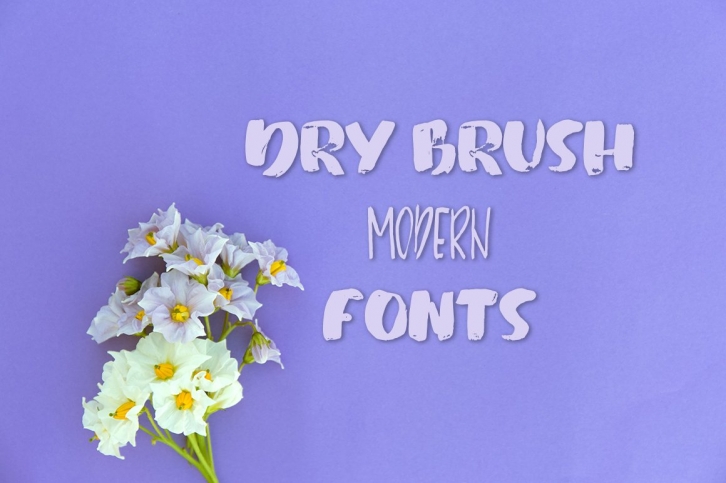 Bold and thin dry brush fonts Font Download