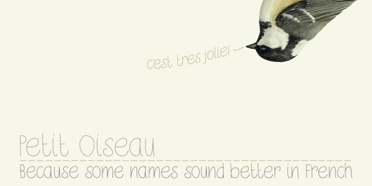 DK Petit Oiseau Font Download