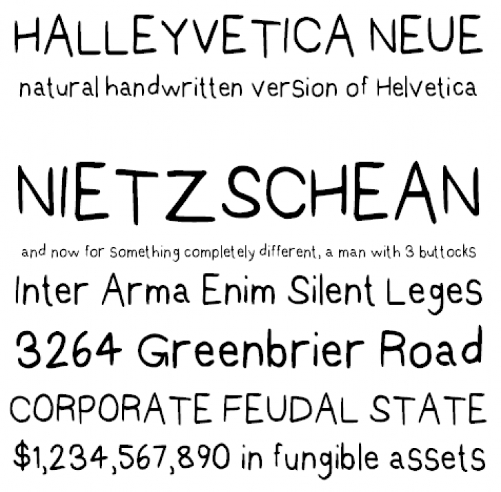 Halleyvetica Neue NBP Font Download