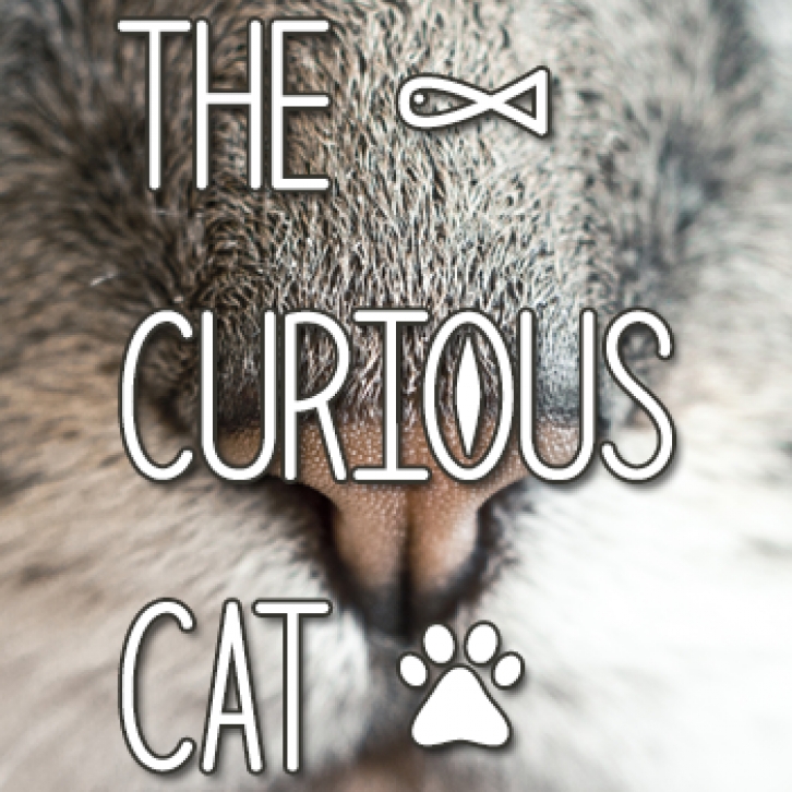 The Curious Ca Font Download