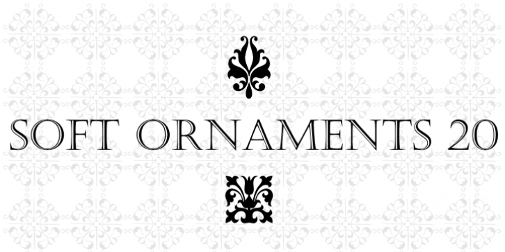 Soft Ornaments Twenty Font Download