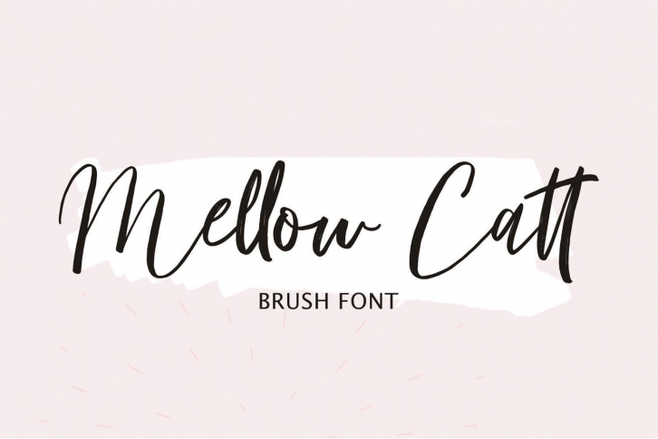 Mellowe Catt | Brush Script Font Font Download