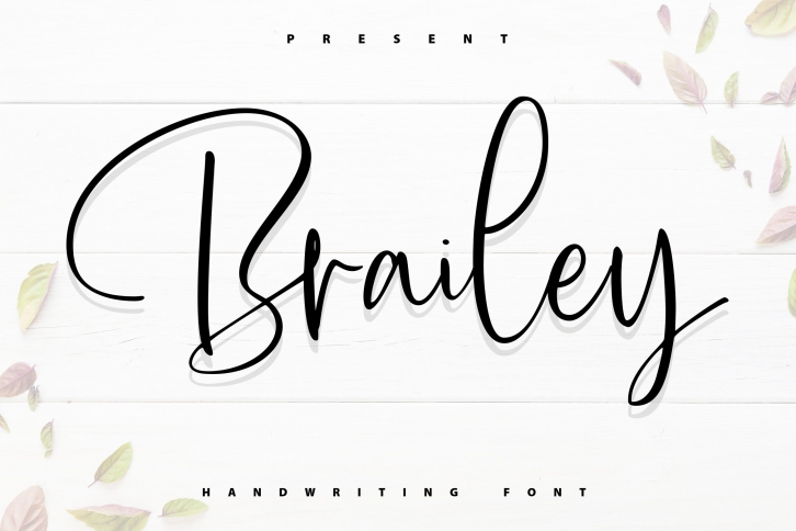 Brailey | Handwriting Font Font Download