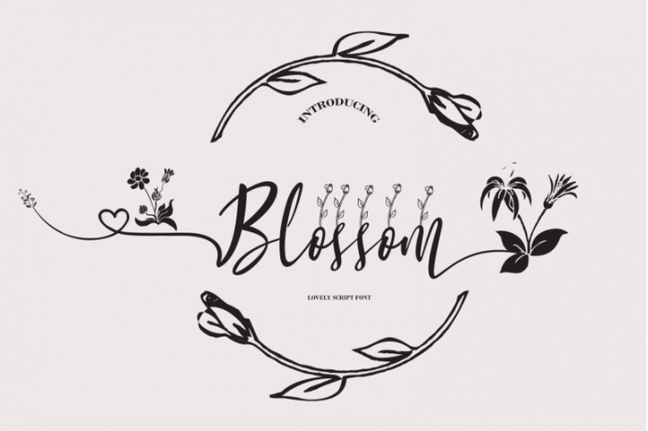 Blossom Script Font Download