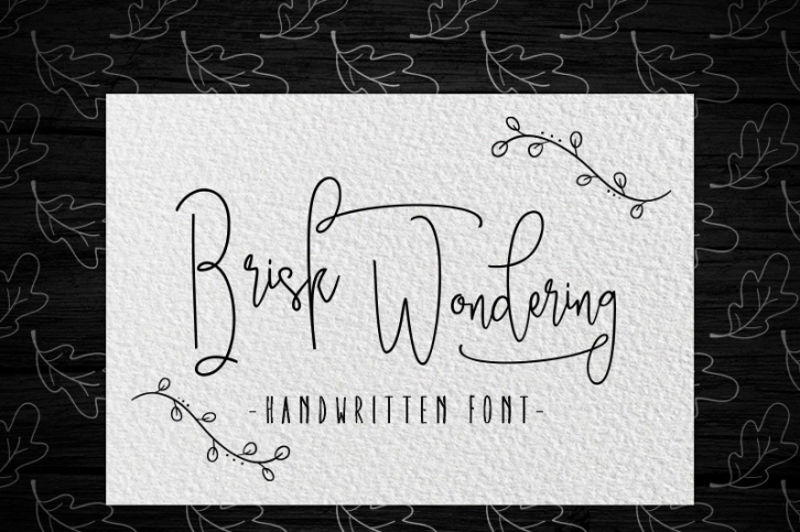 Brisk wondering Font Download
