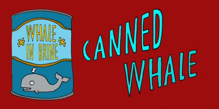 DK Canned Whale Font Download