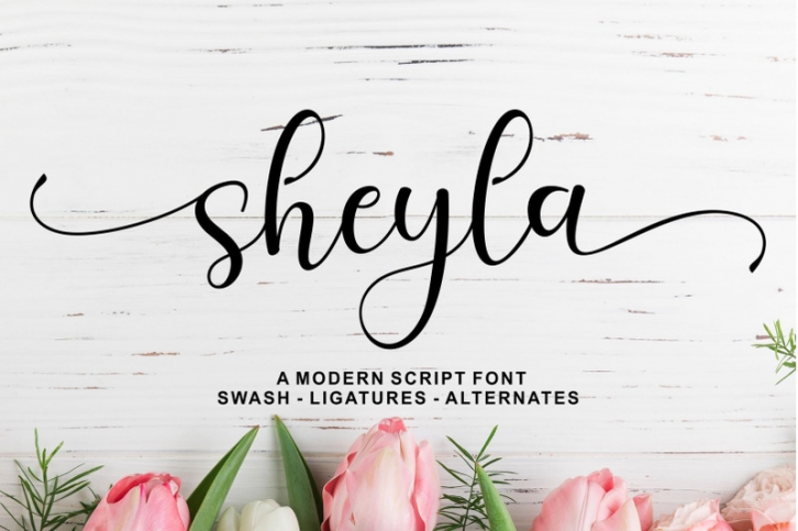 Sheyla Modern Script Font Download