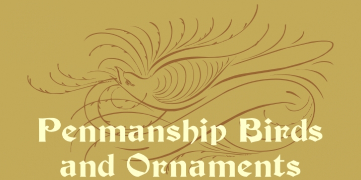 Penmanship Birds and Ornaments Font Download
