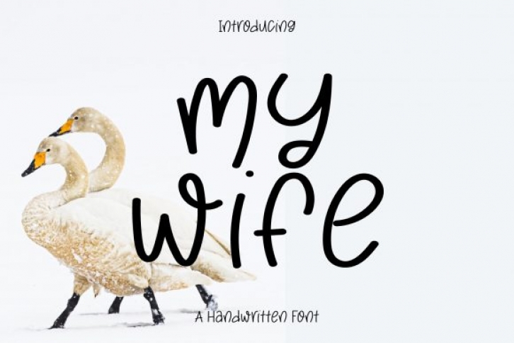 My Wife Font Download