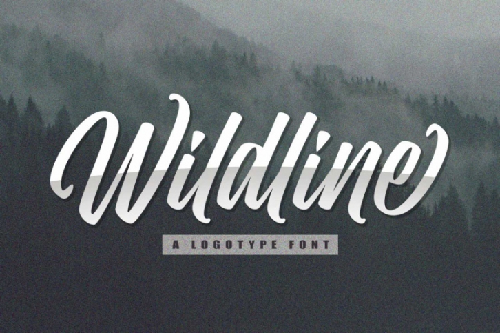Wildline - A Logotype Font Font Download