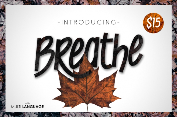 Breathe Typeface Font Download