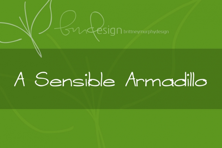 A Sensible Armadill Font Download