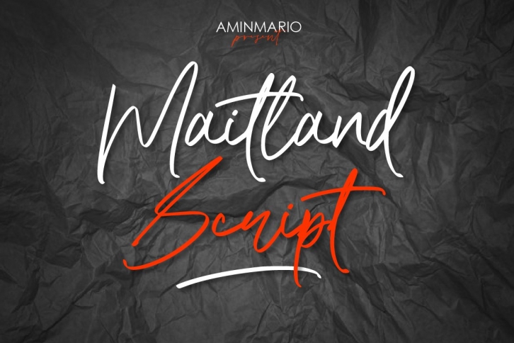 Maitland Script Font Download