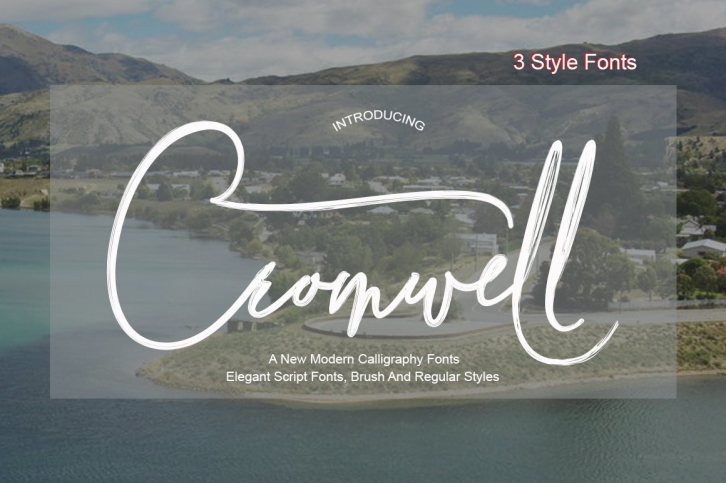Cromwell 3 Fonts Font Download