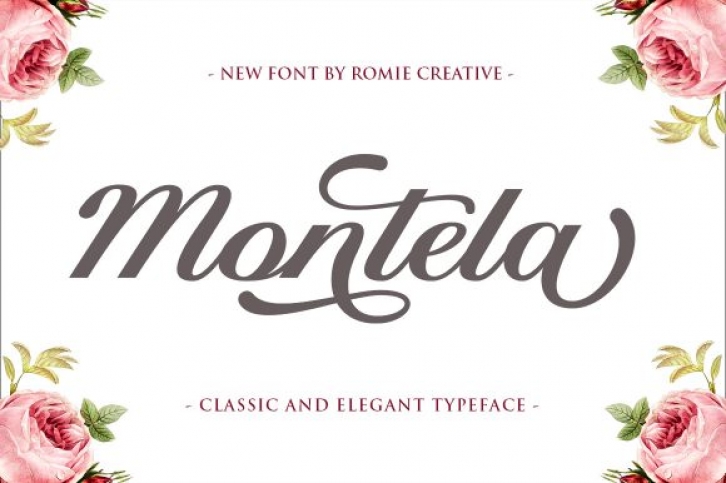 Montela Font Download