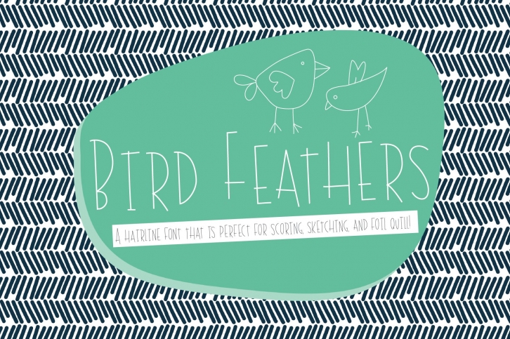 Bird Feathers Hairline Font, Scoring, Sketching, Foil Quill Font Download