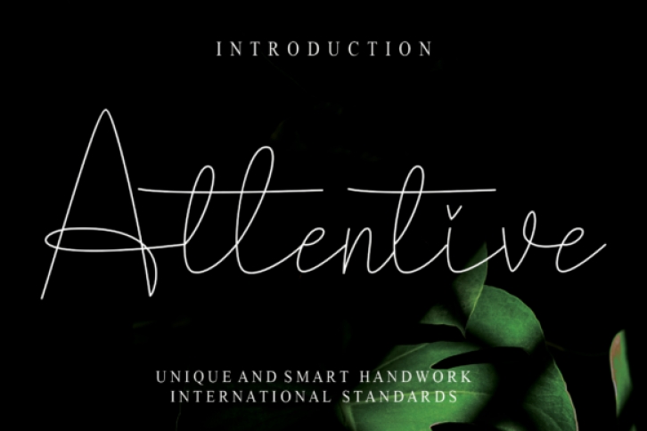 Attentive Font Download