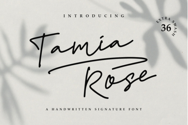 Tamia Rose Signature - Extra Swashes Font Download