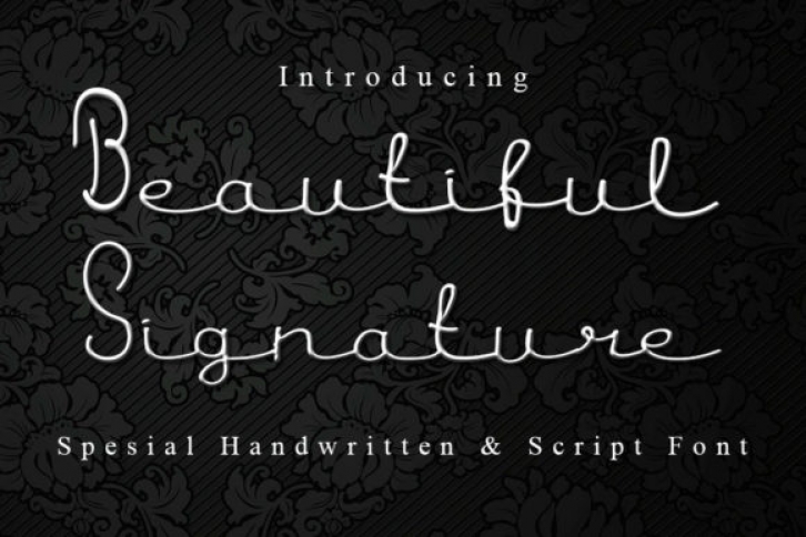 Beautiful Signature Font Download