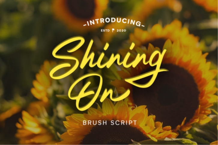 Shining on Font Download