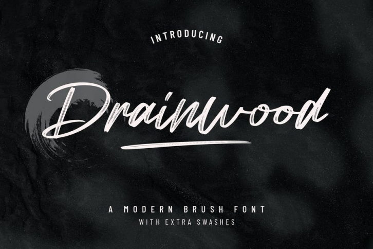 Drainwood Natural Brush Font Font Download