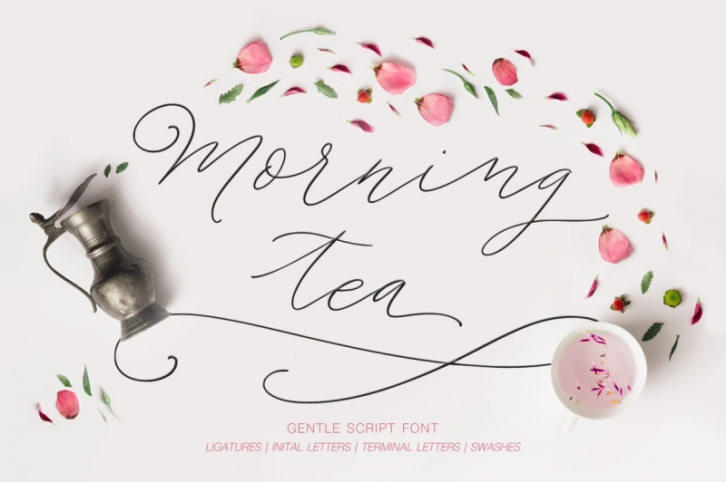 Morning tea. Script font. Font Download