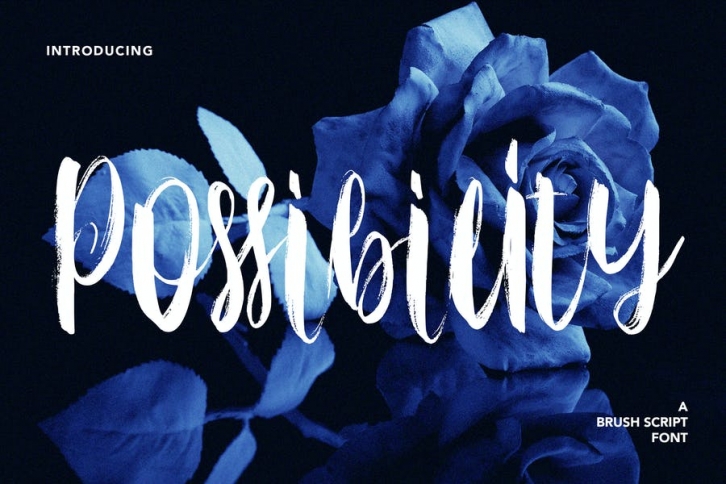 Possibility - Brush Script Font Font Download