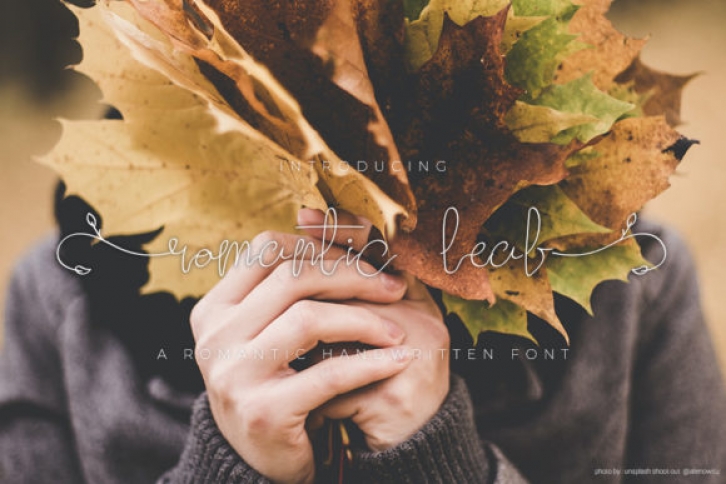 Romantic Leaf Font Download