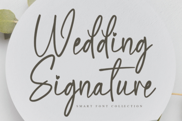 Wedding Signature Font Download