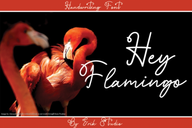 Hey Flamingo Font Download