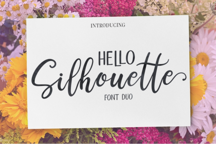 Hello Silhouette Script Font DUO Font Download