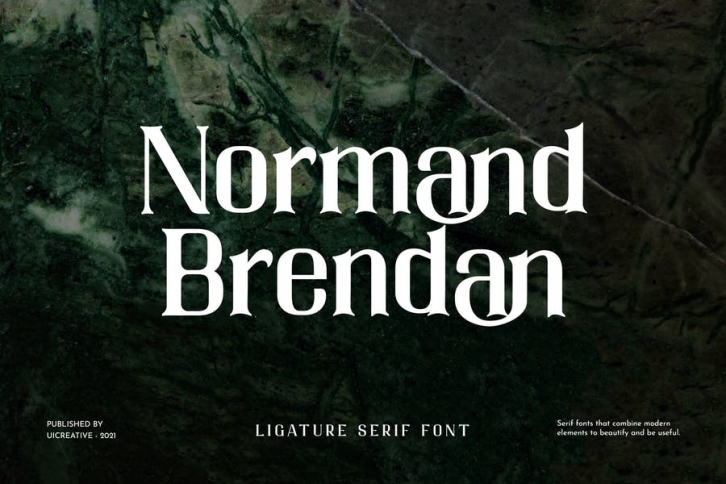 Normand Brendan Serif Font Font Download