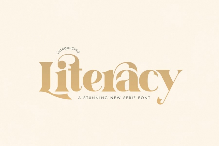 Literacy Serif Font Font Download