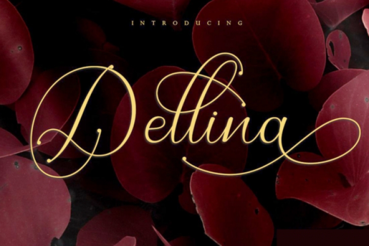 Dellina Script Font Download
