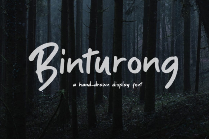 Binturong Font Download