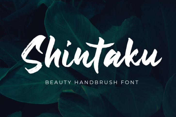 Shintaku - Beauty Handbrush Font - Font Download