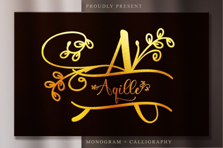 Aqille Monogram Font Download