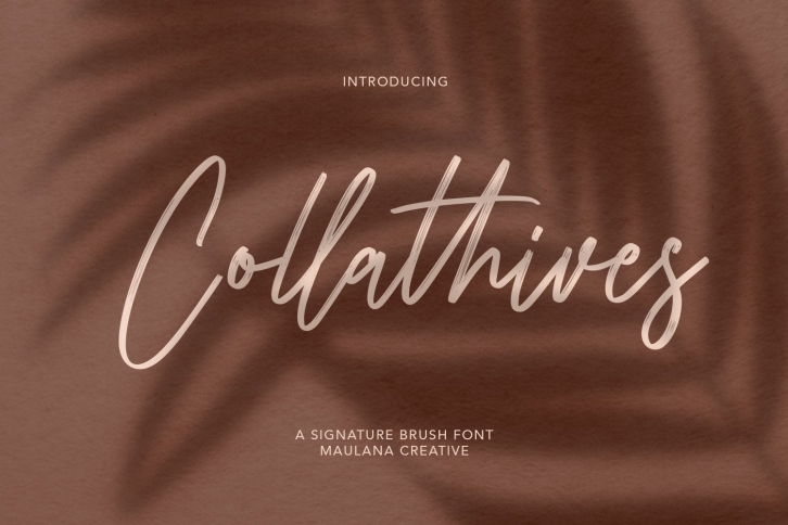 Collathives Signature Brush Font Download