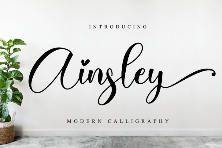 Ainsley Font Download