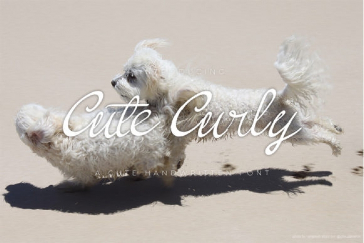 Cute Curly Font Download