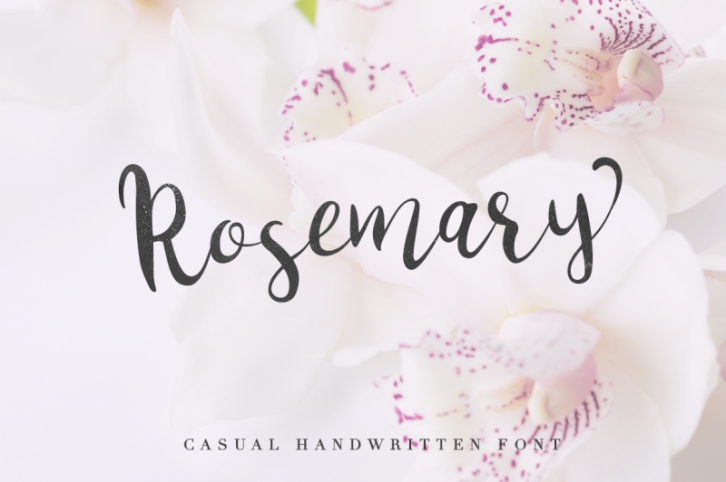 Rosemary Font Download