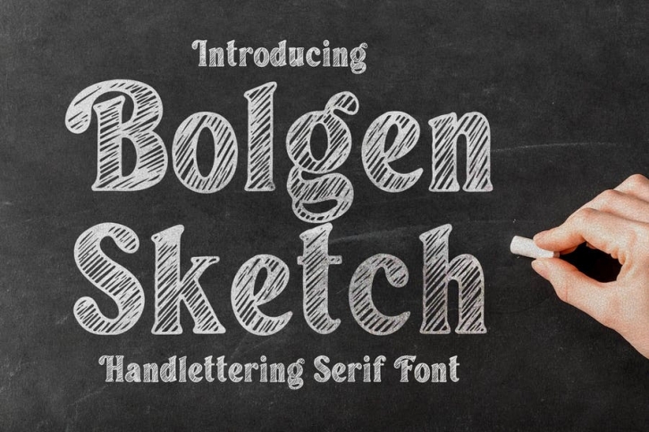 Bolgen Handlettering Serif Font Font Download