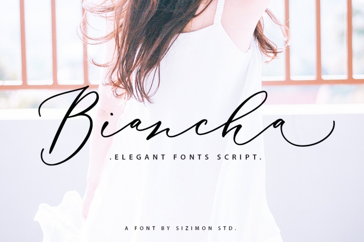 Biancha Script Dem Font Download