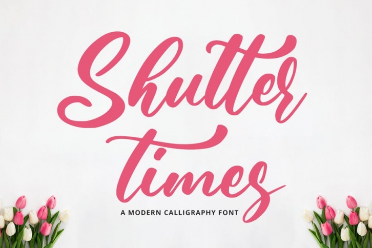 Shutter Times - Elegant Font Font Download